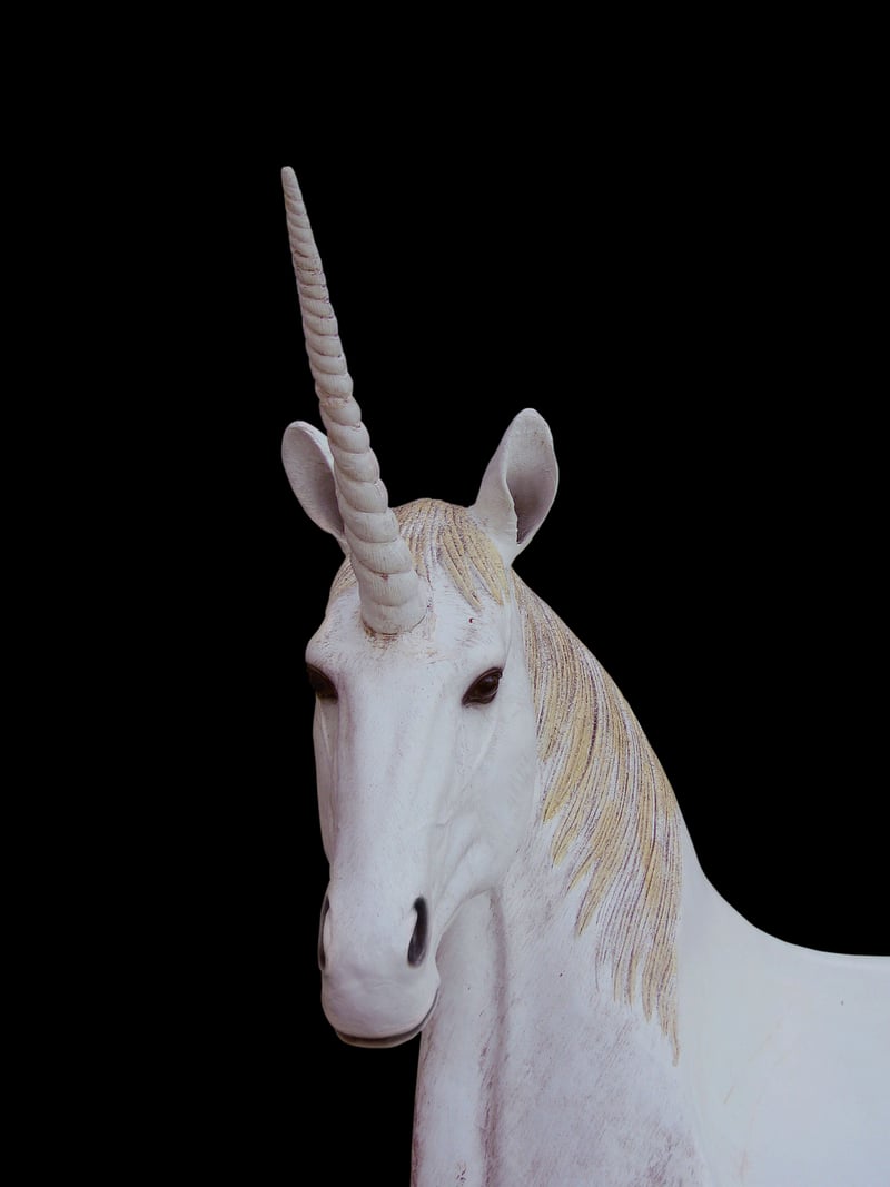 Unicorn Fantasy Food
